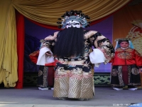 上黨梆子打龍袍(上黨梆子打龍袍龍車鳳輦進皇城齊素珍)