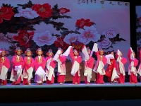 中國少兒戲曲小梅花(第23屆中國少兒戲曲小梅花)