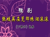 豫劇罵聲伴奏視頻(豫劇罵聲伴奏視頻下載)