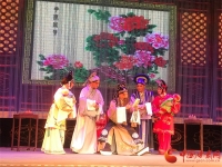 環縣道情戲曲大全(環縣道情史呈林專輯)