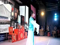 廬劇盛小五全集招親(廬劇魏小波小辭店全集)