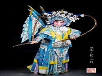 戲劇七大種類(戲劇主要分為幾大種)