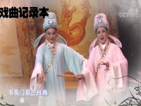 何賽飛越劇十八相送最好聽曲(越劇十八相送,演唱孫曉梅何賽飛)