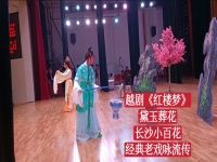 黛玉葬花越劇唱段視頻(黛玉葬花越劇唱段視頻大全)