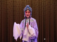 張火丁京劇名段集錦(張火丁京劇名段欣賞100首)