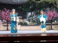 評劇桃花庵全集請播放的簡單介紹