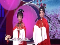越劇鴛鴦情劇情簡介(越劇鴛鴦戲水劇情介紹)
