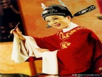 黃梅戲特點(diǎn)簡(jiǎn)介(黃梅戲的特點(diǎn)和代表作)