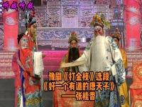 豫劇《打金枝》選段勸駙馬(豫劇打金枝選段勸駙馬,主唱劉忠河root)
