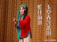 秦腔玉堂春含悲淚(秦腔玉堂春含悲淚往前行選段)