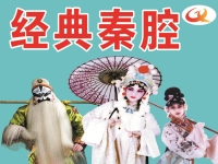 陜西戲曲種類(陜西的戲曲劇種)