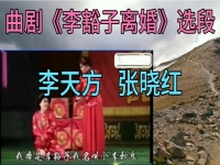 河南曲劇李豁子離婚原版全場(河南曲劇戲曲大全視頻李豁子離婚)