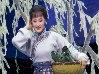越劇祥林嫂抬頭問蒼天伴奏(越劇祥林嫂抬頭問蒼天音樂伴奏)