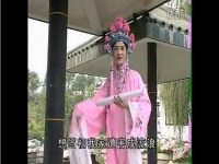 休丁香全集廬劇(休丁香全集廬劇王小五2)
