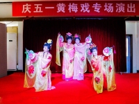 黃梅戲龍女唱段(黃梅戲龍女唱段集錦)
