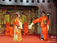 河北梆子打金枝全劇視頻請播放(帶字幕的河北梆子打金枝全劇視頻)
