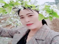 黃梅戲漁網會母(黃梅戲漁網會母純伴奏)