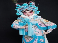 豫劇杜永真簡介(青年豫劇演員杜永真)