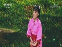 黃梅戲打豬草對花表演唱(傳統黃梅戲打豬草選段對花)