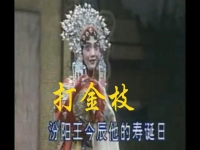 豫劇電影打金枝全場(豫劇電影打金枝全場戲)