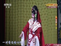 京劇紅娘選段小姐多風采(京劇紅娘小姐多風采選段唱詞)