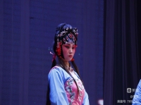 秦腔貍貓換太子全本戲詞(秦腔貍貓換太子后本劇情簡介)