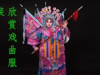 關于如何鑒賞戲曲的信息