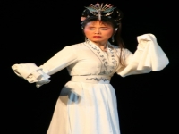 女府馬黃梅戲吳瓊(黃梅戲女駙馬吳瓊演唱視頻)