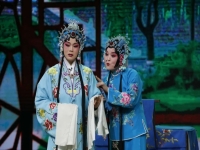 戲曲小倉娃全集(戲曲小倉娃全集免費觀看)