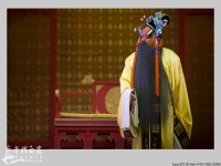 秦腔貍貓換太子唱詞(秦腔貍貓換太子唱詞完整版)